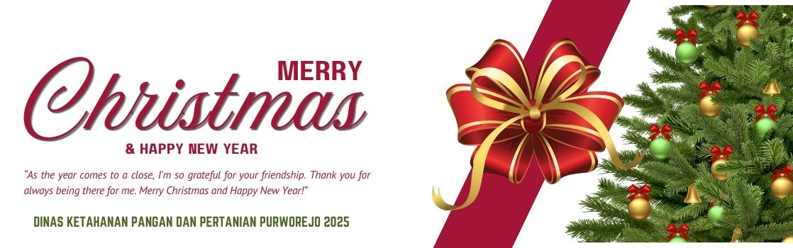 SELAMAT NATAL DAN TAHUN BARU
