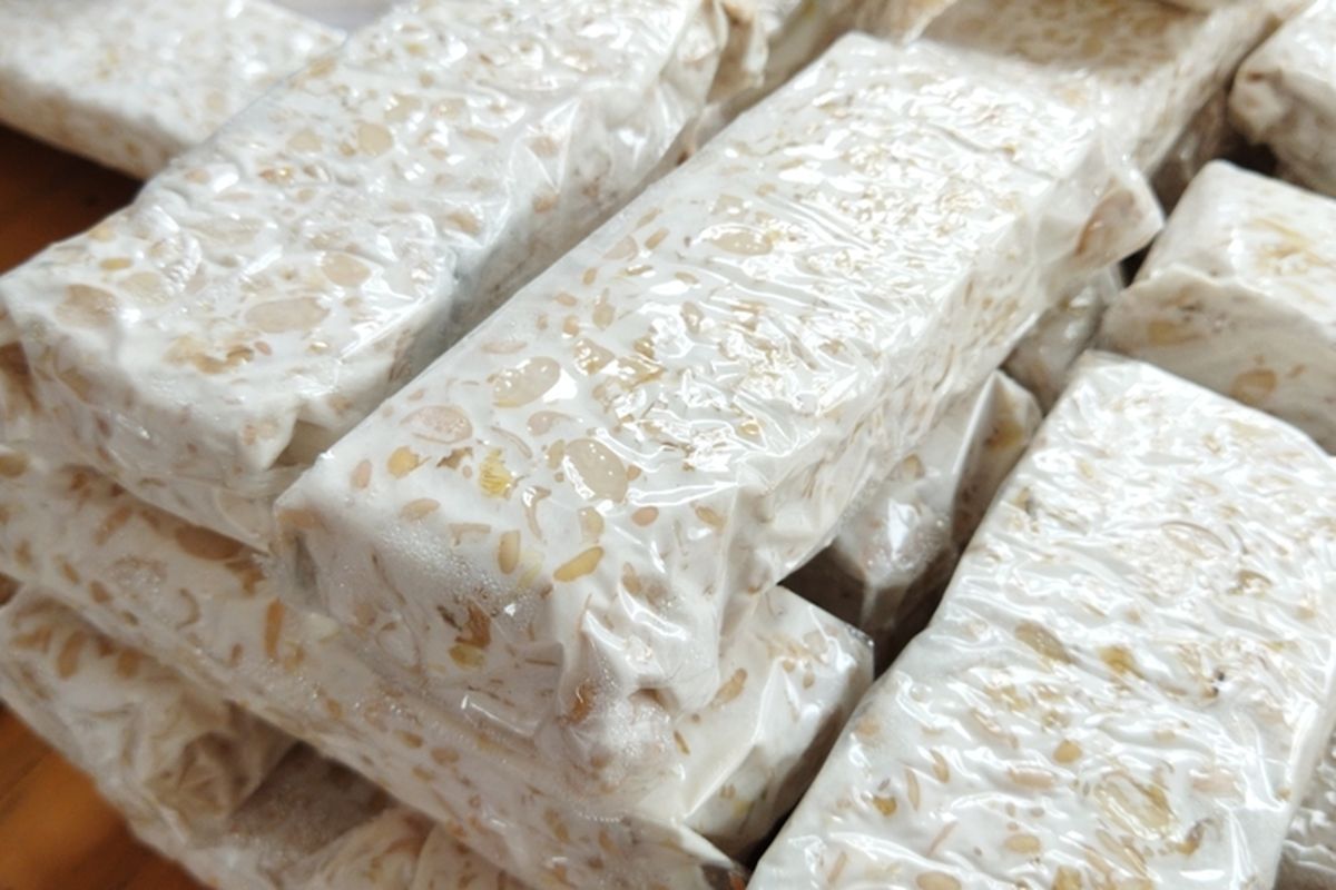 Tempe Kedelai