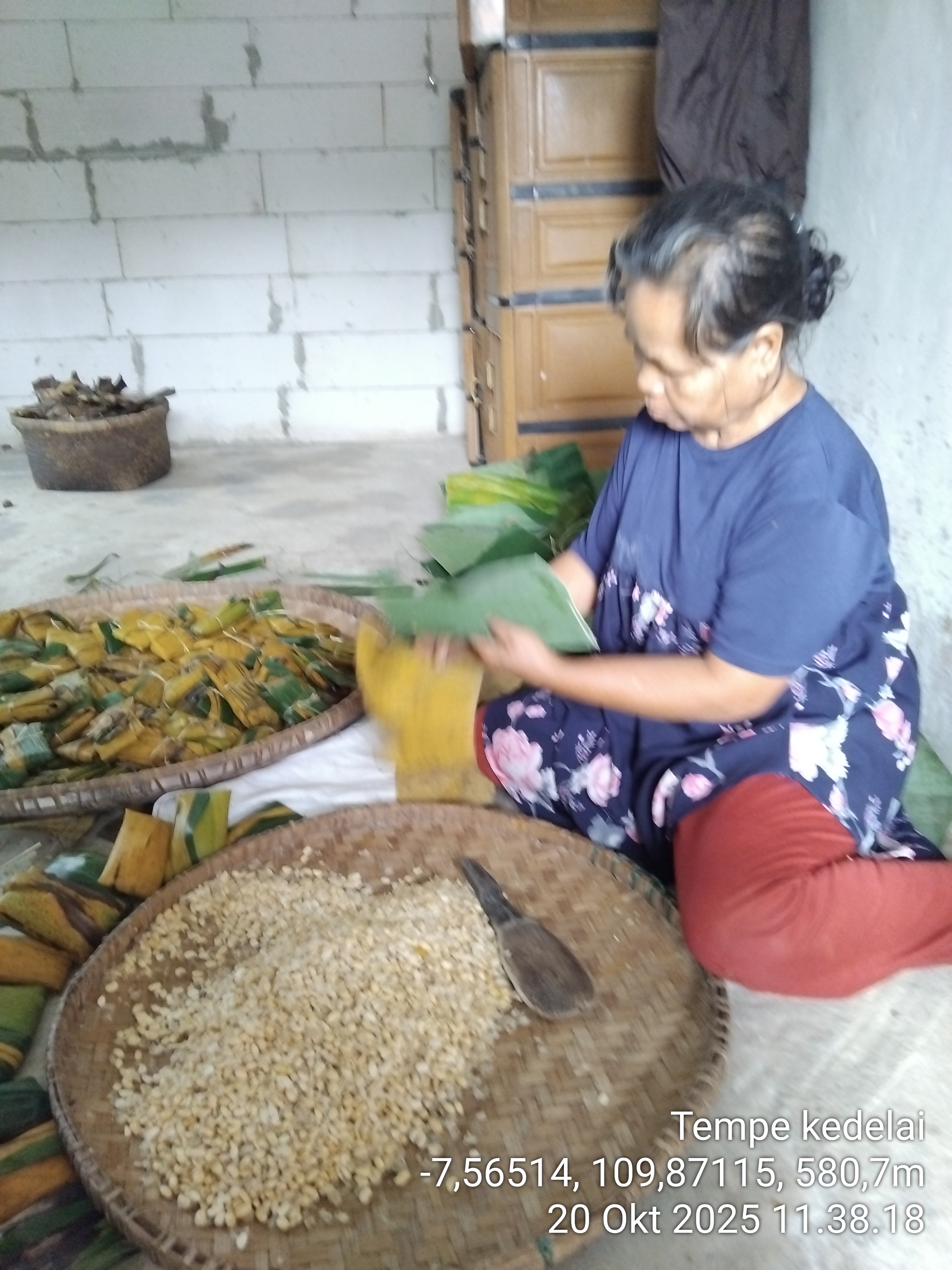 Tempe kedelai
