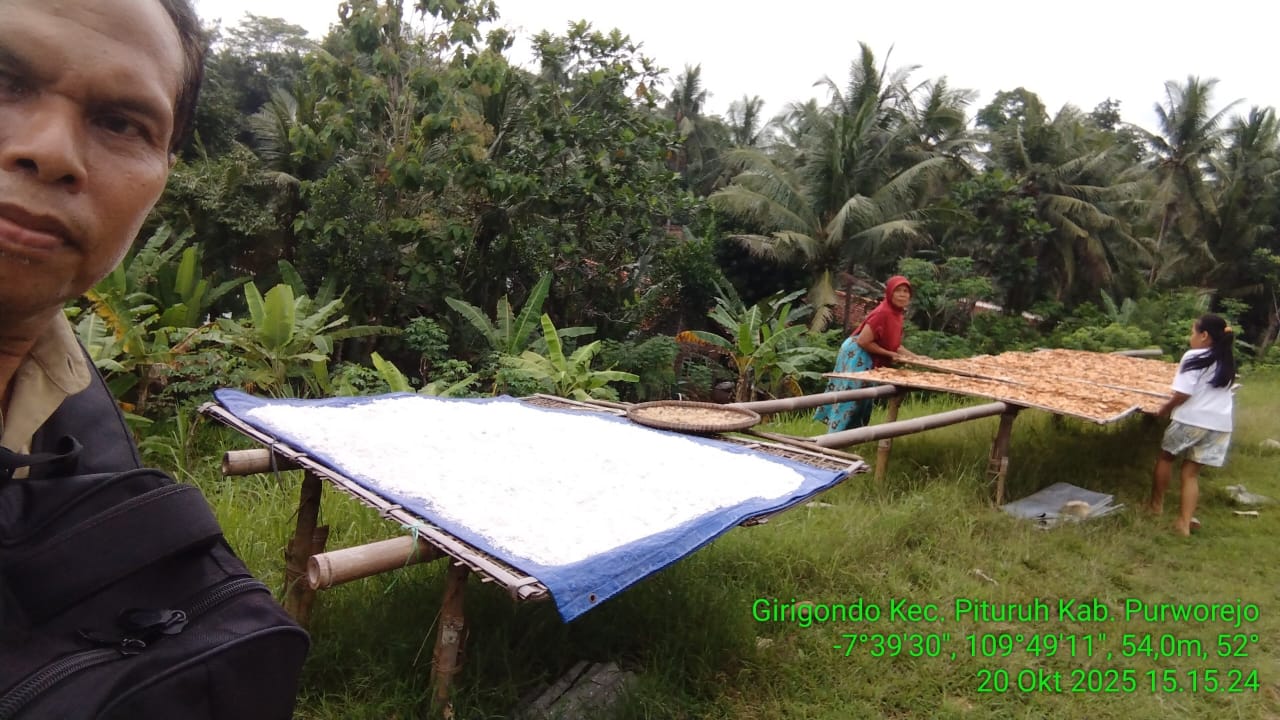 Rimpang Temulawak