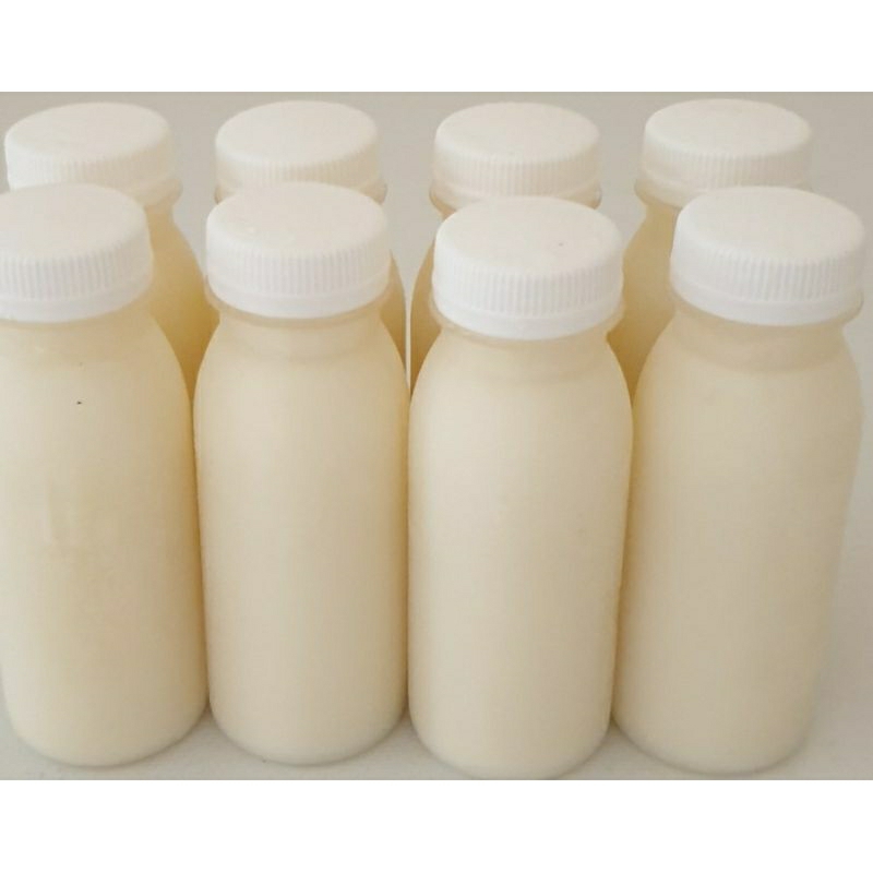 Susu Kambing